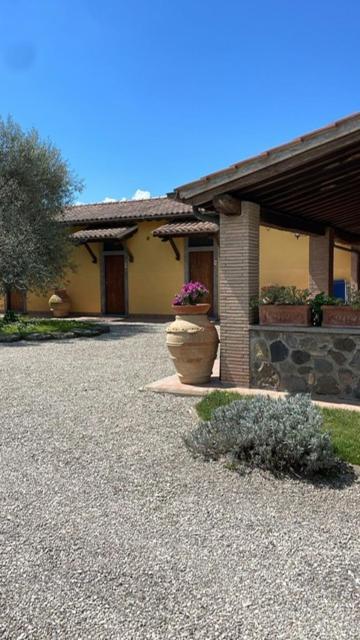 Agriturismo Arlena Bolsena Exteriör bild